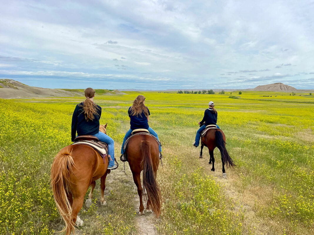 A Summer Trip To South Dakota